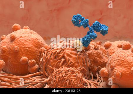 Traitement par anticorps monoclonaux dans le cancer du rein - gros plan illustration 3D. Banque D'Images