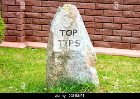 CONSEILS sur LES symboles conceptuels. Copier l'espace. Top conseils mots écrits sur une pierre debout sur l'herbe sur le fond d'un mur, une clôture en briques Banque D'Images