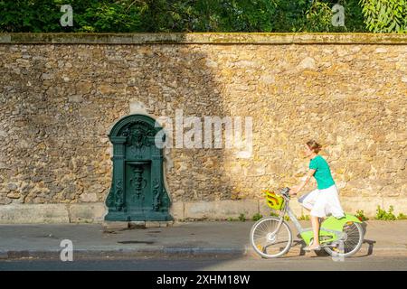 France, Paris, fontaine murale Wallace, rue Geoffroy Saint Hilaire Banque D'Images