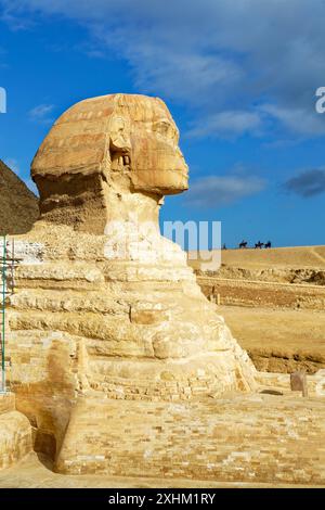 Egypte, le Caire, Gizeh, classé au patrimoine mondial par l'UNESCO, le Sphinx Banque D'Images