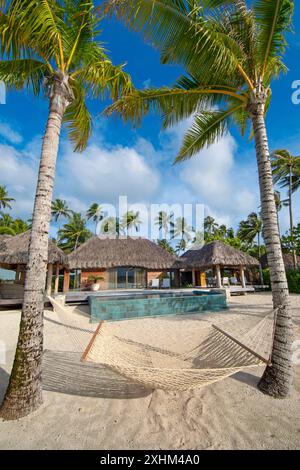 Polynésie française, île de Bora Bora, hamac tendu entre des cocotiers devant la suite villa royale de plage du Bora Bora by Pearl Resorts Banque D'Images