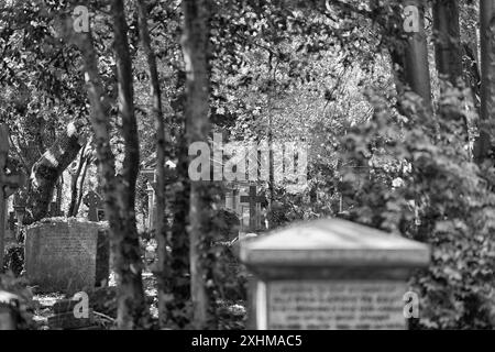 Image en noir et blanc d'un cimetière feuillu. Cimetière de Highgate, Londres, Royaume-Uni Banque D'Images