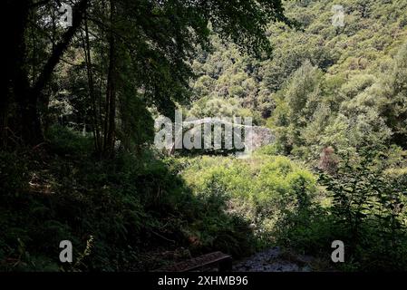 Scigliano, Italie. 12 juillet 2024. Dans la province de Cosenza, en Calabre, une petite ville appelée Scigliano est traversée par la rivière Savuto, au-dessus de laquelle se trouve l'ancien Ponte di Annibale ou Ponte di S. Angelo. Diverses preuves archéologiques montrent que le pont, aujourd'hui monument historique national, est en cours de construction entre 131 et 121 av. J.-C., et est l'un des plus anciens ponts d'Italie. (Photo de Massimo Valicchia/NurPhoto) crédit : NurPhoto SRL/Alamy Live News Banque D'Images