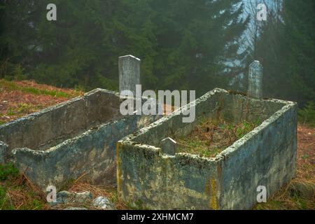 Une photo sereine capturant quelques pierres tombales dans un ancien cimetière niché dans un cadre forestier tranquille. Banque D'Images