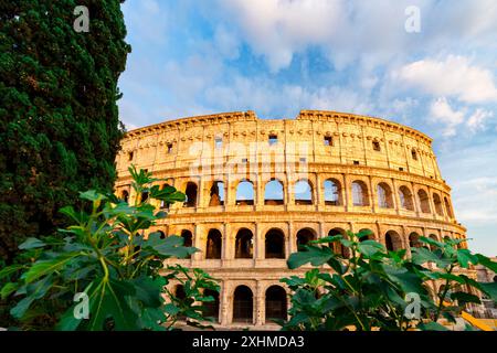 Le Colisée au coucher du soleil au printemps, Rome, Italie Banque D'Images