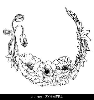 Feuilles de fleurs d'illustration botanique graphique vectorielle dessinées à la main. Papave de coquelicot rouge, tiges bourgeons graines. Cadre de couronne isolé fond blanc Illustration de Vecteur
