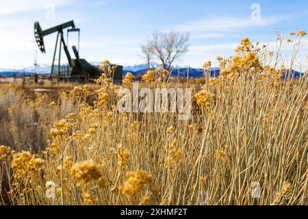 Pumpjack dans les Rocheuses du Colorado Banque D'Images