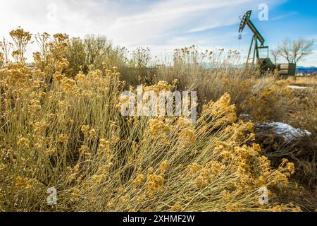 Pumpjack dans les Rocheuses du Colorado Banque D'Images