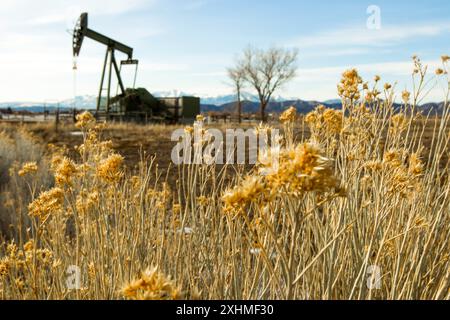 Pumpjack dans les Rocheuses du Colorado Banque D'Images