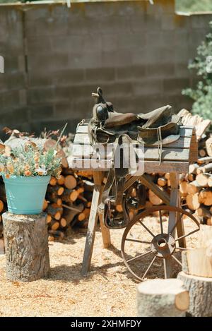 Vieille selle sur un stand en bois à côté d'une plante en pot. Banque D'Images