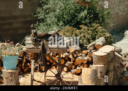 Vieille selle sur un stand en bois à côté d'une plante en pot. Banque D'Images