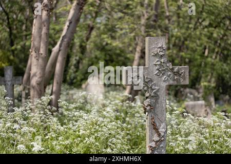 Une croix en pierre avec lierre en pierre sculptée au-dessus et entourée de persil de vache et d'arbres. Cimetière de Highgate, Londres, Royaume-Uni Banque D'Images