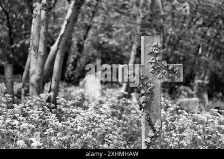 Une croix en pierre avec lierre en pierre sculptée au-dessus et entourée de persil de vache et d'arbres. Image monochrome. Cimetière de Highgate, Londres, Royaume-Uni Banque D'Images