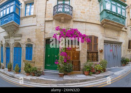 Photo panoramique le long d'une façade typique de maison méditteranean avec bougainvilliers colorés et balcons dans la capitale maltaise Valetta pendant la journée Banque D'Images