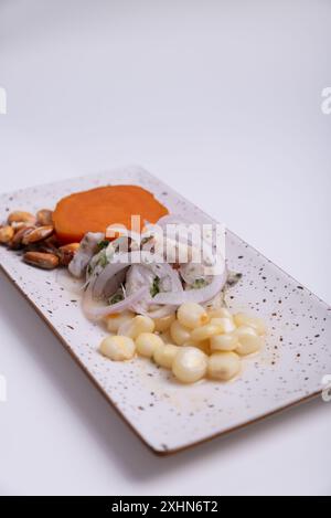 Présentation minimaliste d'un plat péruvien appelé ceviche sur fond blanc. Banque D'Images