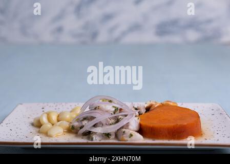 Présentation minimaliste d'un plat très populaire dans la région péruvienne appelé ceviche. Banque D'Images