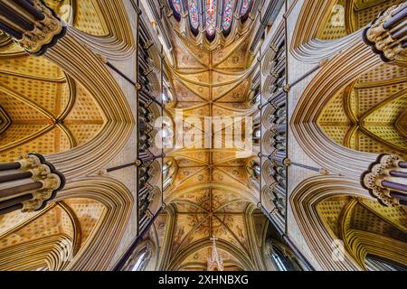 Le magnifique plafond de la Lady Chapel dans la cathédrale de Worcester quire, Worcester, une ville dans et ville de comté de Worcestershire, West Midlands Banque D'Images