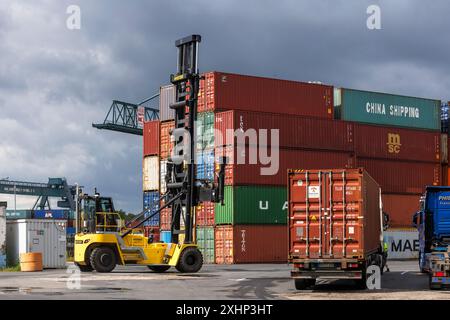 Agrafeuse de conteneurs Hyster au terminal de conteneurs Molenkopf du port rhénan dans le district de Niehl, Cologne, Allemagne. Hyster Containerstapler i. Banque D'Images