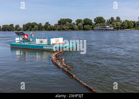 Piège à ordures de l'organisation environnementale KRAKE (Koelner Rhein-Aufraeum-Kommando-Einheit) sur les rives du Rhin à Riehl, Koeln, Allemagne. Cat Banque D'Images