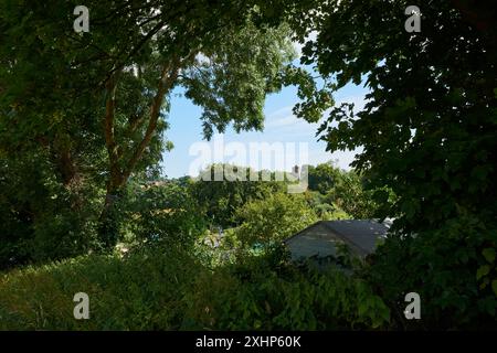 Campagne du Sussex en été près de Battle, East Sussex, Angleterre, avec la tour de l'église St Mary au loin et des lotissements au premier plan Banque D'Images