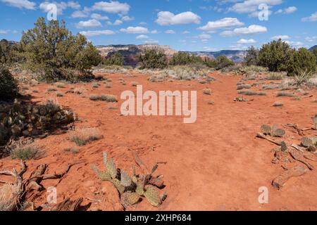 Zone plate du sentier Doe Mountain à Sedona, Arizona Banque D'Images