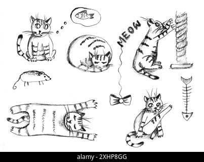 Les chats mignons font des choses différentes. Dessin au crayon noir et blanc. Banque D'Images