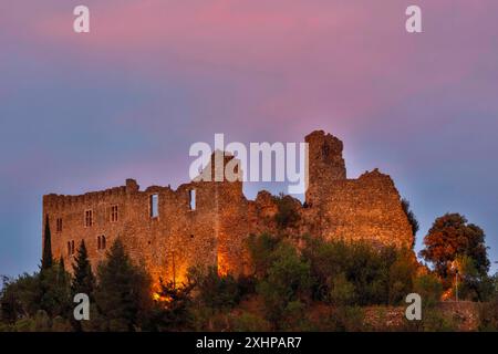 France, Aude, Parc naturel régional des Corbières Fenouilledes, Durban Corbières, Château des Corbières de Durban, vue sur les ruines du château au crépuscule Banque D'Images