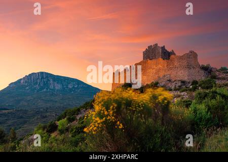 France, Aude, Padern, château de Padern, Parc naturel régional des Corbières Fenouilledes, vue générale du château de Padern au crépuscule dans un cadre de montagne Banque D'Images