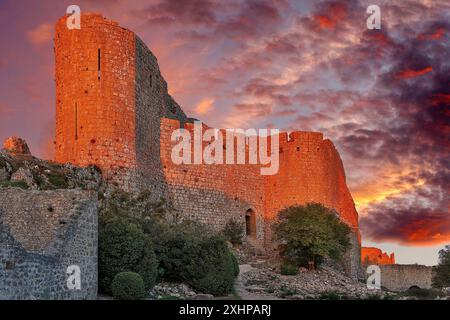 France, Aude, Parc naturel régional des Corbières Fenouilledes, Duilhac sous Peyrepertuse, Château de Peyrepertuses, classé au patrimoine mondial de l'UNESCO, facade Banque D'Images