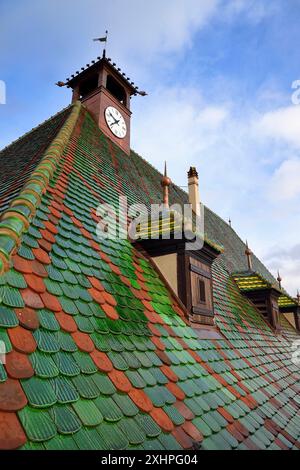 France, Haut Rhin, Colmar, toit avec carreaux vitrés de l'ancien douane ou édifice de contrôle des douanes (Koifhus) Banque D'Images