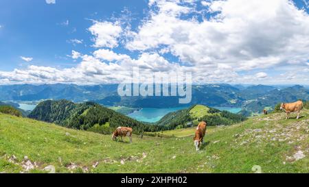 Du sommet de la montagne Schafberg à Wolfsgang, Autriche, vous avez une vue magnifique sur les lacs de la région de Salzkammergut. Banque D'Images