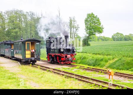 Chemin de fer à voie étroite, Prignitz, Brandebourg, Allemagne Banque D'Images