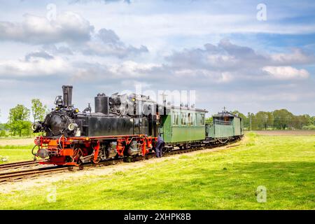 Chemin de fer à voie étroite, Prignitz, Brandebourg, Allemagne Banque D'Images