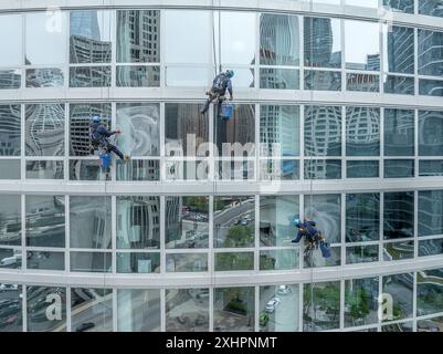 Lave-vitres alpinistes professionnels suspendus dans un harnais tout en nettoyant les vitres sur un immeuble immobilier commercial gratte-ciel Banque D'Images