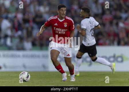 Águeda, 07/12/2024 - Benfica a affronté Farense, au Estádio Municipal de Águeda, dans un match amical. (Pedro Correia/Global Imagens) crédit : Atlantico Press/Alamy Live News Banque D'Images