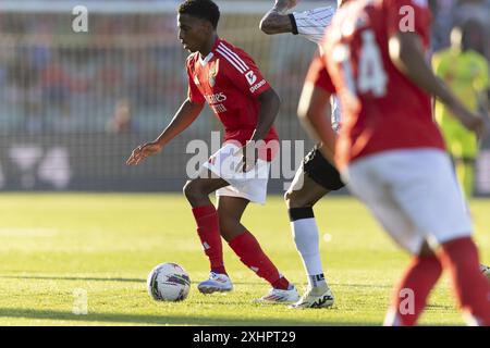 Águeda, 07/12/2024 - Benfica a affronté Farense, au Estádio Municipal de Águeda, dans un match amical. (Pedro Correia/Global Imagens) crédit : Atlantico Press/Alamy Live News Banque D'Images