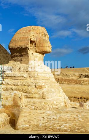 Egypte, le Caire, Gizeh, classé au patrimoine mondial par l'UNESCO, le Sphinx Banque D'Images