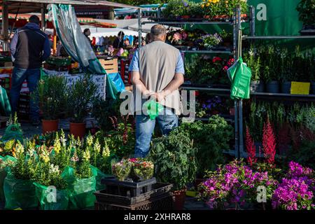 Vendeur de plantes debout au milieu des plantes et des fleurs au Fischmarkt Sunday Market dans le district d'Altona à Hambourg, en Allemagne Banque D'Images