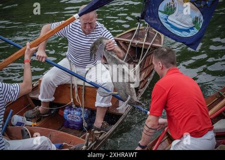 Londres, Royaume-Uni. 15 juillet 2024. La montée annuelle du cygne sur la Tamise joue un rôle important dans la conservation du cygne muet et implique que le gardien du cygne du roi recueille des données, évalue la santé des jeunes cygnets et les examine pour détecter toute blessure. Les empeignes royales, qui portent l'uniforme écarlate de sa Majesté le Roi, voyagent dans des skiffs d'aviron traditionnels avec des empeignes des compagnies de livrées des vignerons et des Dyers. Crédit : Guy Corbishley/Alamy Live News Banque D'Images