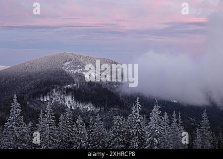 Nuageux paysage de montagne. Dragobrat, Carpates, Ukraine Banque D'Images