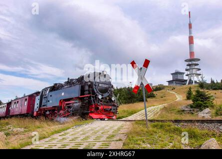 Une locomotive à vapeur avec un train du chemin de fer à voie étroite Harz atteint le sommet de la Brocken, 10/08/2014, Brocken, Saxe-Anhalt, Allemagne Banque D'Images