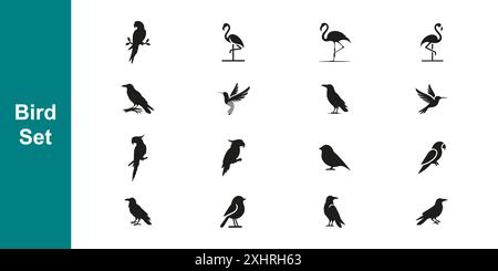 Collection de silhouettes d'oiseaux pour l'identification et l'art. Illustration de Vecteur