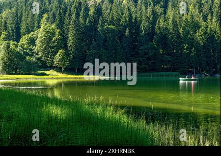 Spitzingsee, lac de montagne avec étang prêle, prêle d'eau (Equisetum fluviatile), couple sur une excursion dans un bateau à rames, municipalité de Banque D'Images