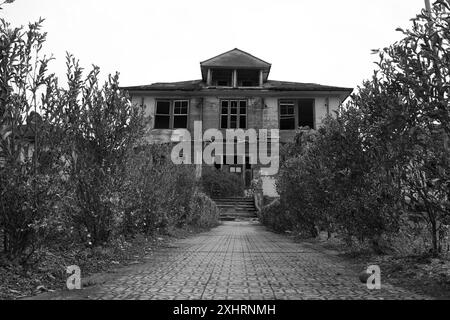 Une photo en niveaux de gris d'une vieille maison hantée avec des arbustes envahis par la végétation le long d'une passerelle décorative Banque D'Images