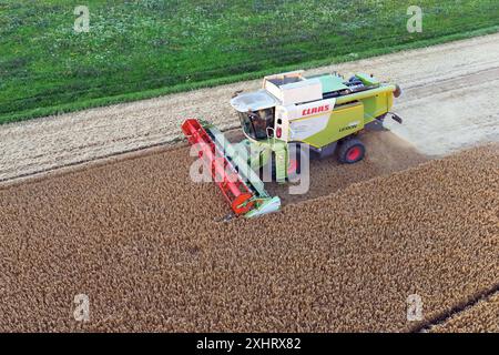 Ein Maehdrescher vom Typ CLAAS Lexion 650 BEI der Arbeit, maeht ein Feld Gerste ab, Ernte, Getreideernte, auf einem Feld BEI Haar AM 15.07.2024. *** Une moissonneuse-batteuse CLAAS Lexion 650 au travail, fauchant un champ d'orge, récolte, récolte de céréales, dans un champ près de Haar le 15 07 2024 Banque D'Images