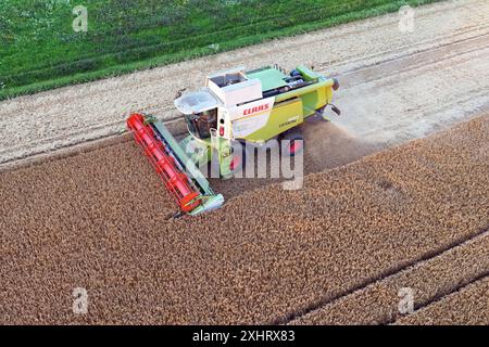 Ein Maehdrescher vom Typ CLAAS Lexion 650 BEI der Arbeit, maeht ein Feld Gerste ab, Ernte, Getreideernte, auf einem Feld BEI Haar AM 15.07.2024. *** Une moissonneuse-batteuse CLAAS Lexion 650 au travail, fauchant un champ d'orge, récolte, récolte de céréales, dans un champ près de Haar le 15 07 2024 Banque D'Images