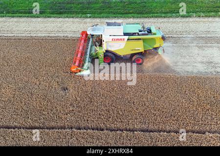 Ein Maehdrescher vom Typ CLAAS Lexion 650 BEI der Arbeit, maeht ein Feld Gerste ab, Ernte, Getreideernte, auf einem Feld BEI Haar AM 15.07.2024. *** Une moissonneuse-batteuse CLAAS Lexion 650 au travail, fauchant un champ d'orge, récolte, récolte de céréales, dans un champ près de Haar le 15 07 2024 Banque D'Images