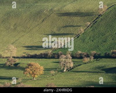 Campagne et forêt du Shropshire du Sud vues de Caer Caradoc près de Church Stretton, Shropshire, Royaume-Uni Banque D'Images