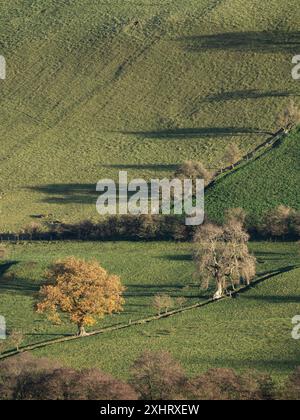 Campagne et forêt du Shropshire du Sud vues de Caer Caradoc près de Church Stretton, Shropshire, Royaume-Uni Banque D'Images