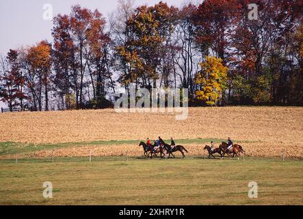 La chasse au renard à cheval, CHESHIRE FOXHOUNDS RUNNYMEADE, ferme, COMTÉ DE CHESTER, Pennsylvania, USA Banque D'Images